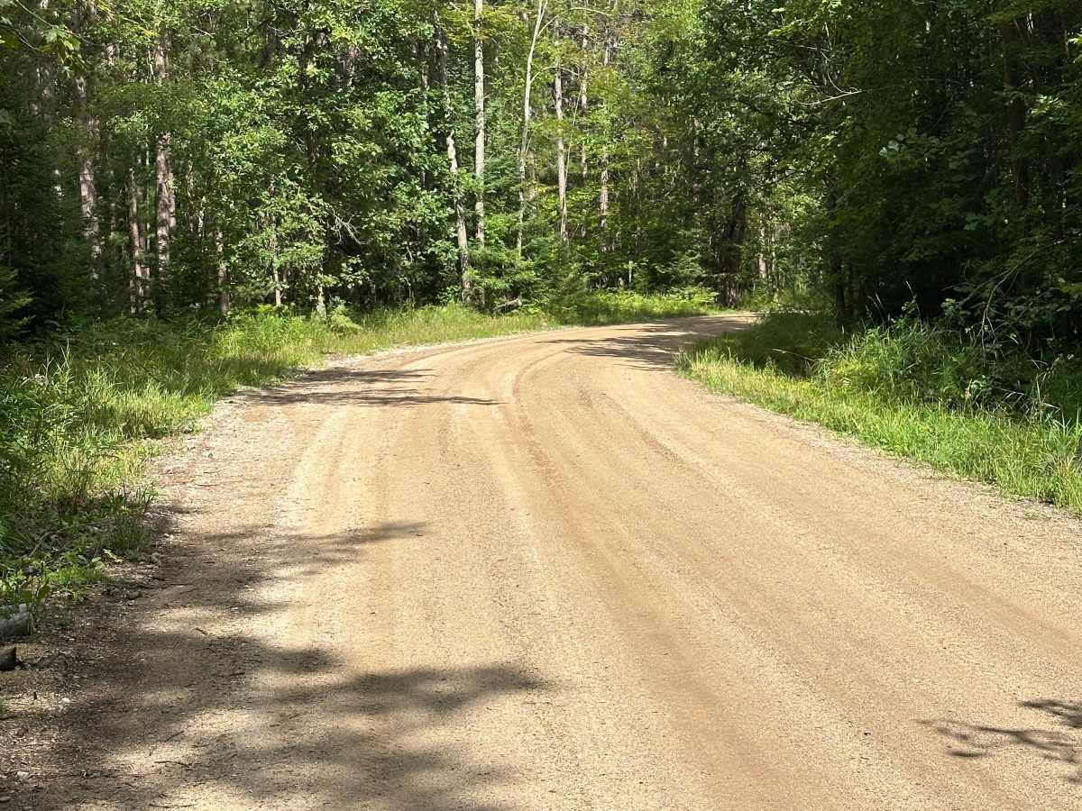 Dorr Road photo 4