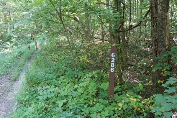 Stephens Knob