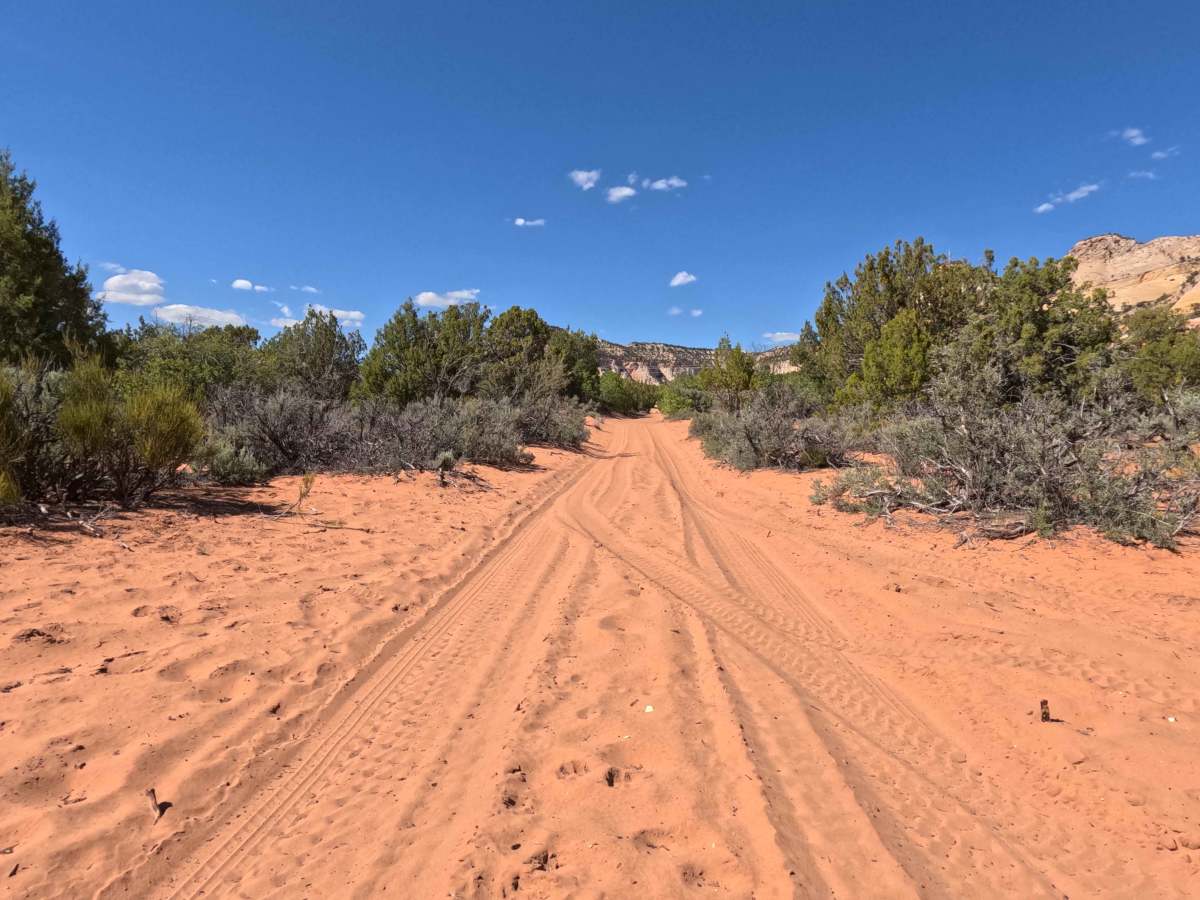 BLM 106L photo 4