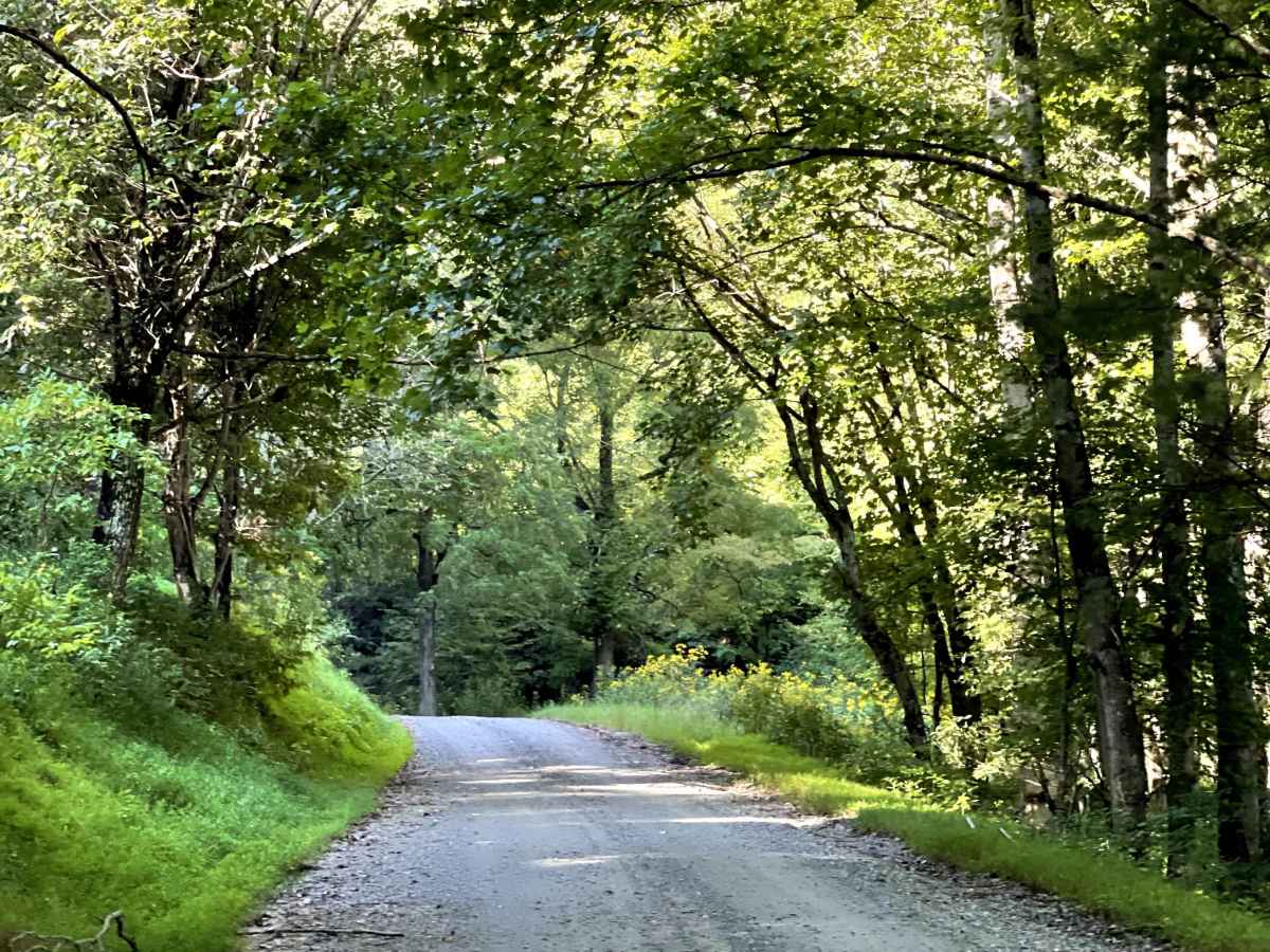 Jake's Mountain Road photo 4