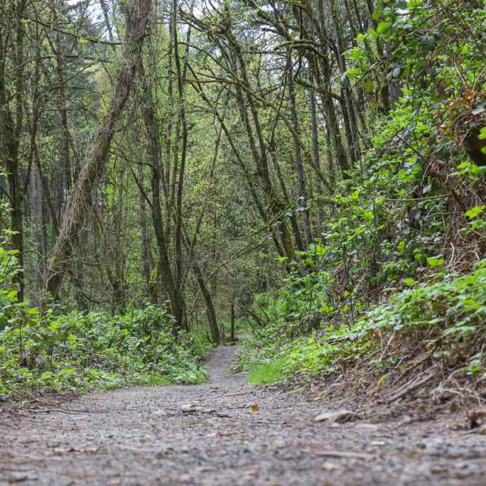 Near George Himes Park Trail