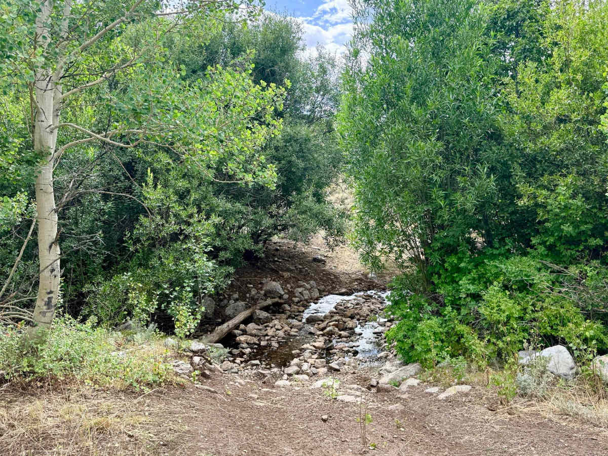Chicken Creek Route - FS 56159 photo 3
