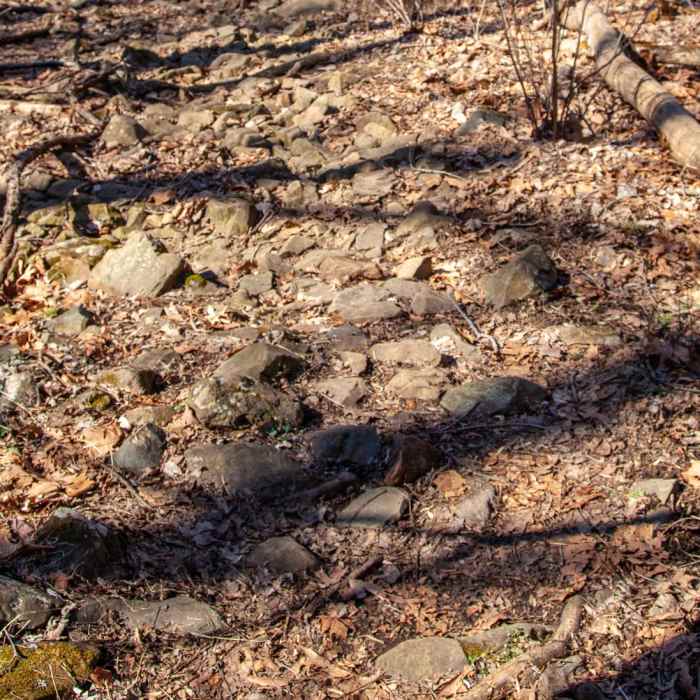 Near Overall Run Falls via Thompson Hollow Near Overall Run Falls via Thompson Hollow