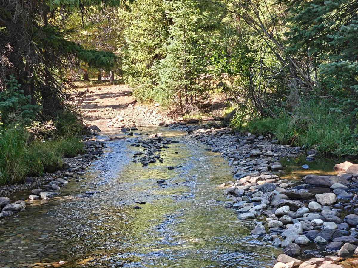 Tellurium Creek Road photo 6