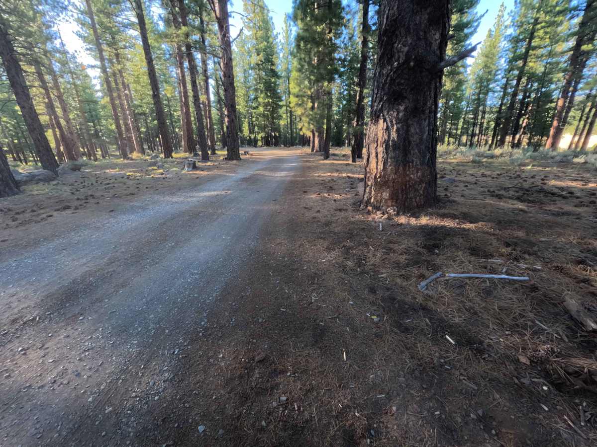 Wheeler Tie - FS 0450-005 trail photo
