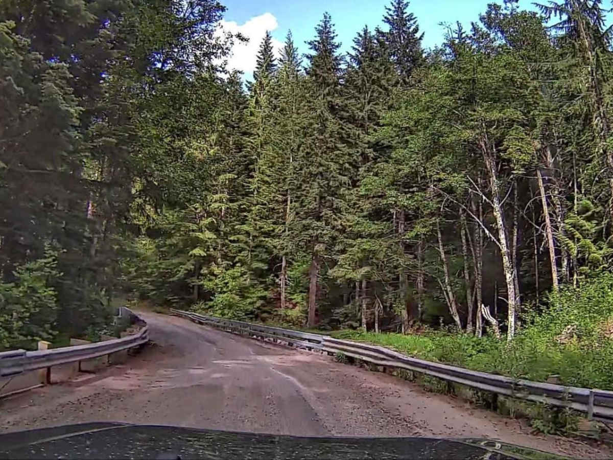 Lolo Pass photo 6