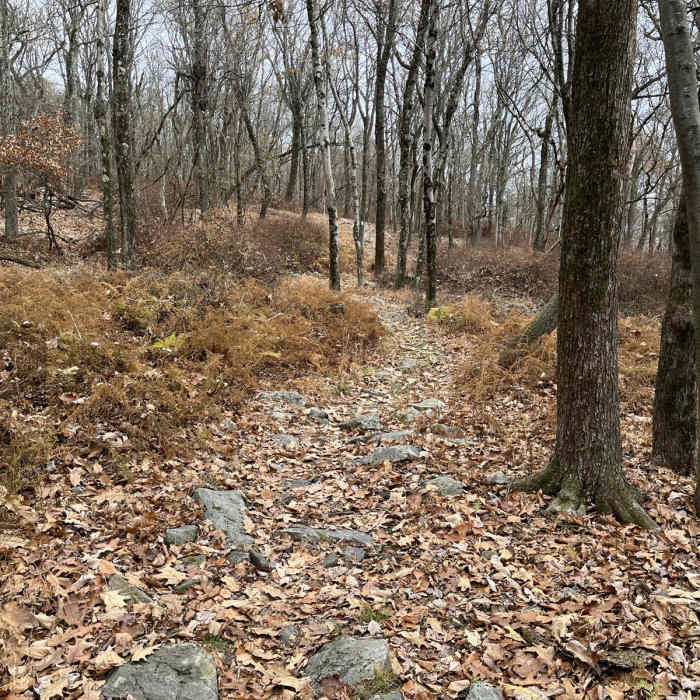 Near Appalachian Trail: Wind Gap to Fox Gap Near Appalachian Trail: Wind Gap to Fox Gap