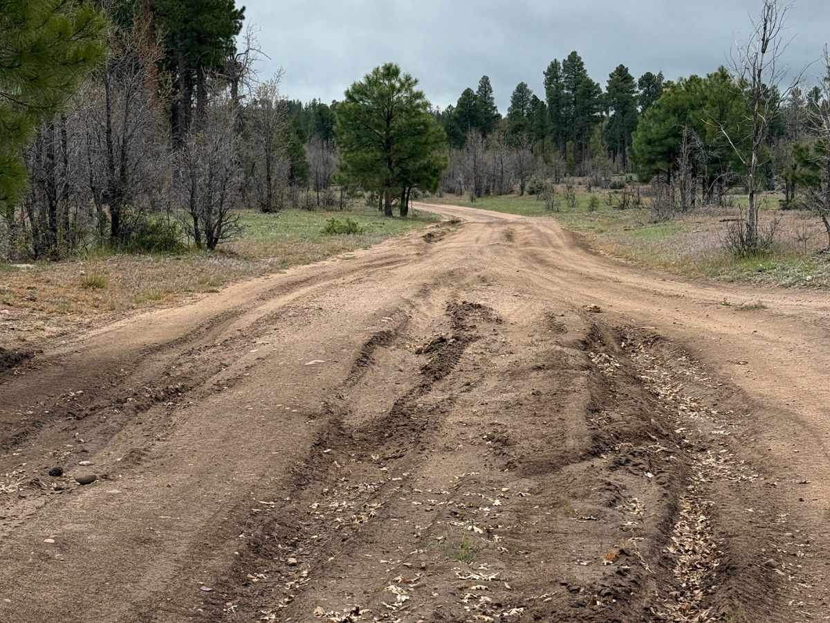 Water Canyon - FS 219 photo 5