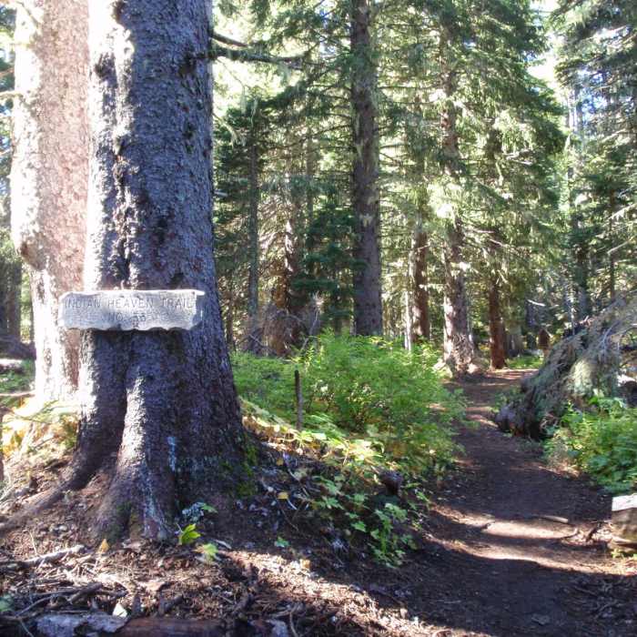 Near Cultus Creek to Lemei Rock