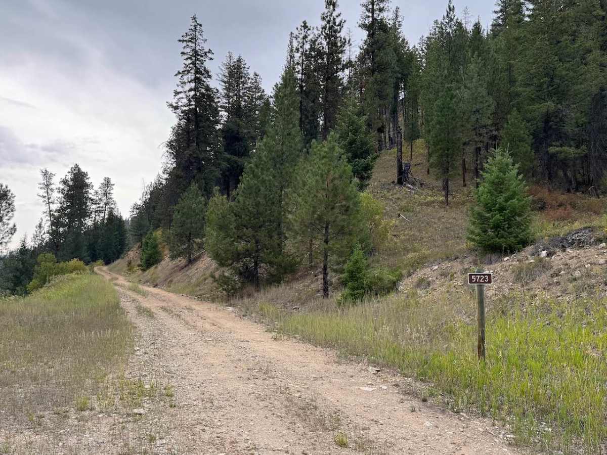Eastside Piquett trail photo