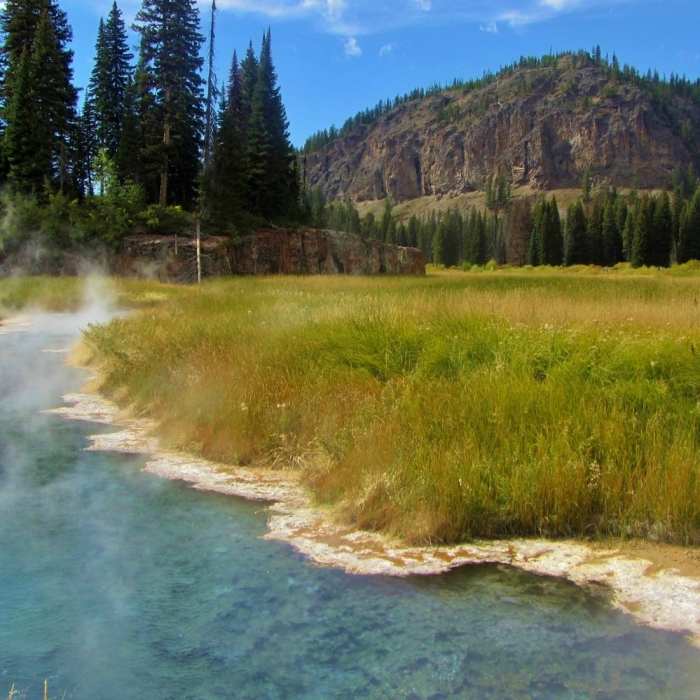 Snake Hot Springs - this is the largest of a group of very hot springs just south of the South Boundary Trail. Near South Boundary Trail: South Entrance-Harebell