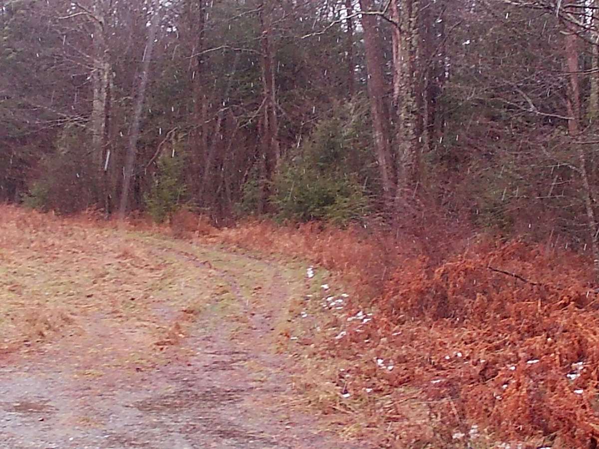 Huckle Run Road photo 5