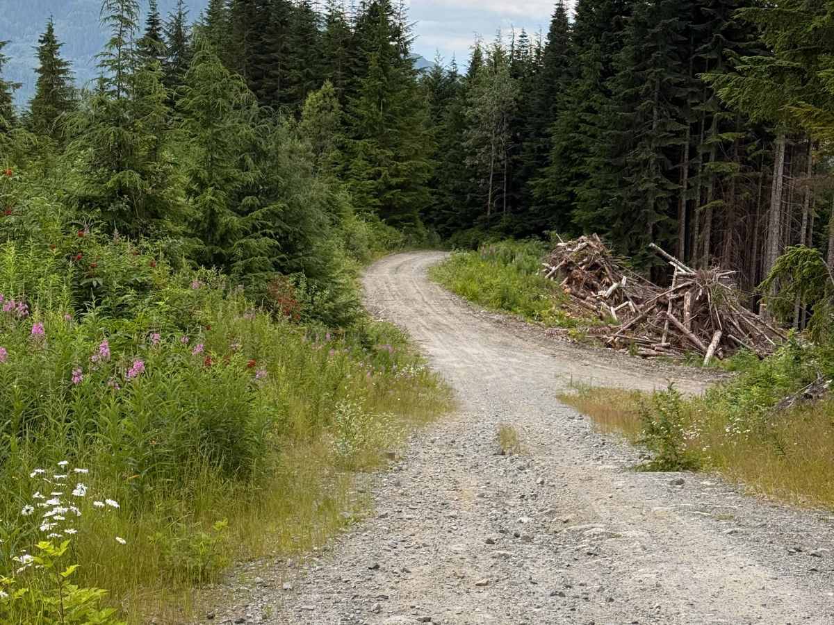 Sleeping Beauty Mountain photo 6
