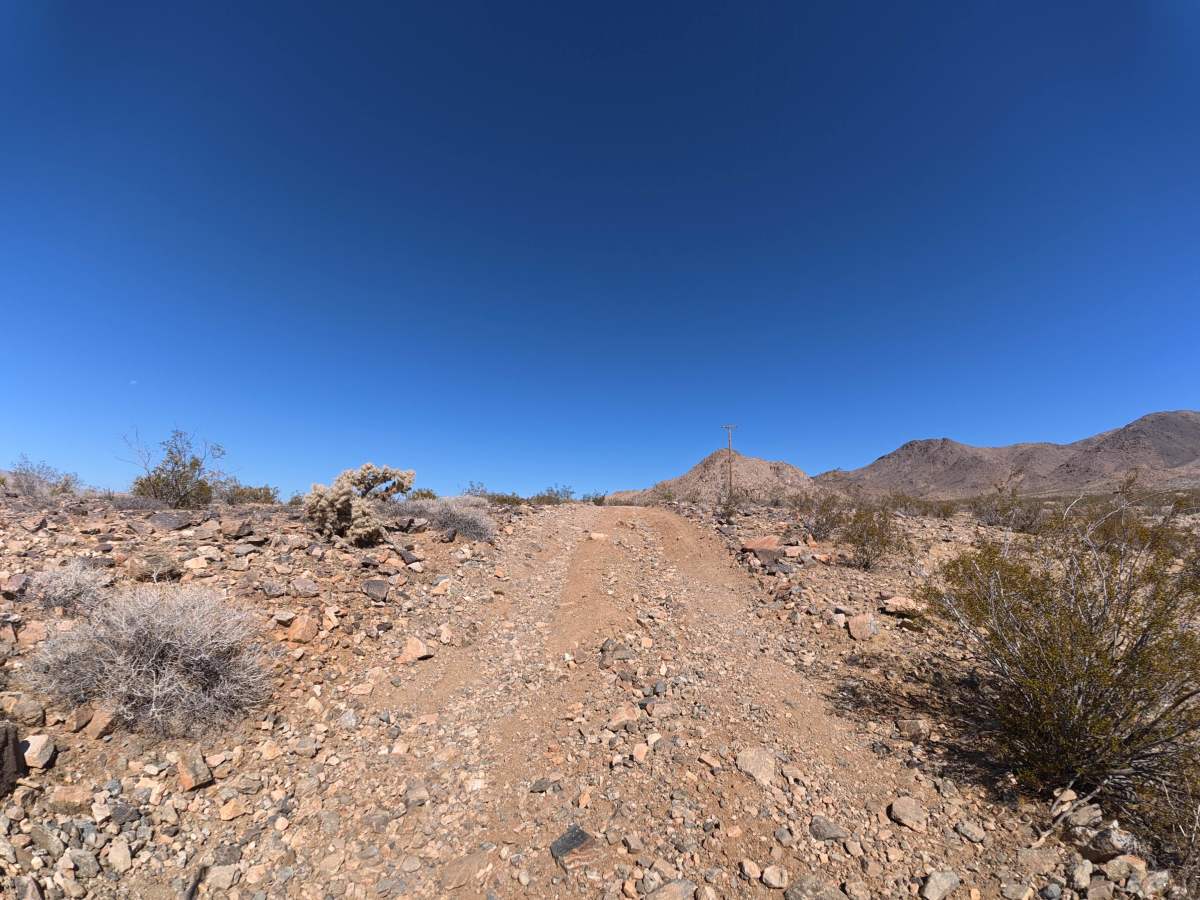 Fern Road photo 2
