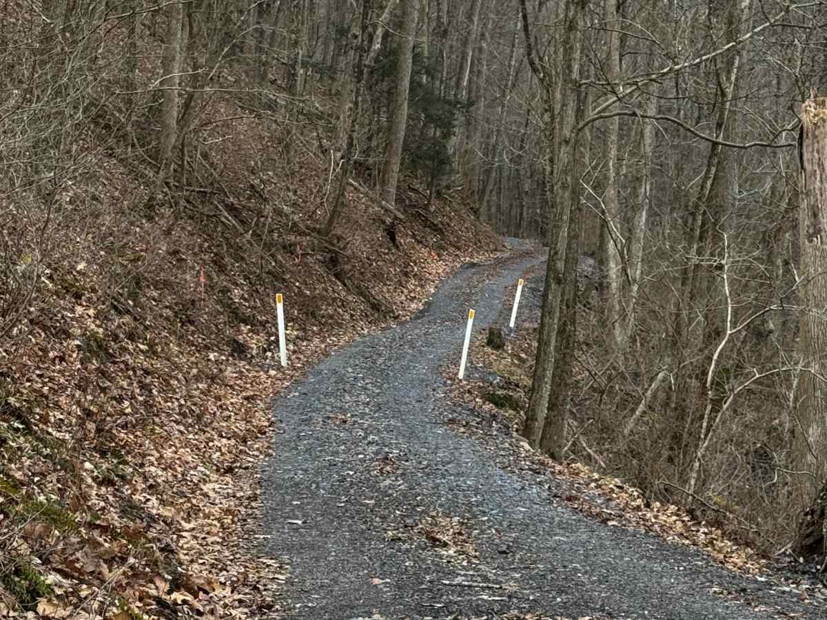 Baker Run Road photo 5