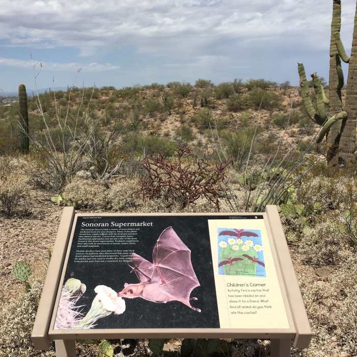 Various signs along the trail make the journey interactive for children. Near Freeman Homestead