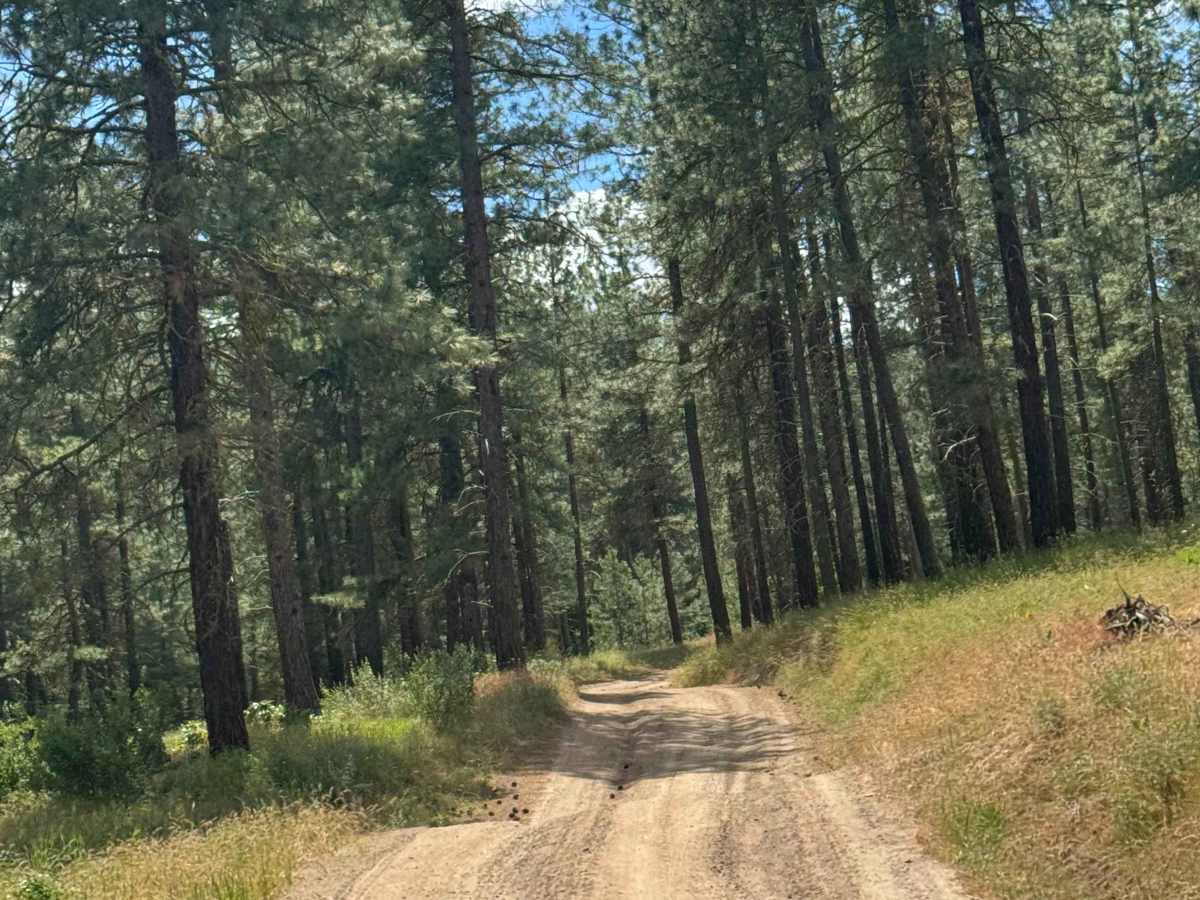 Milk Canyon Road photo 6
