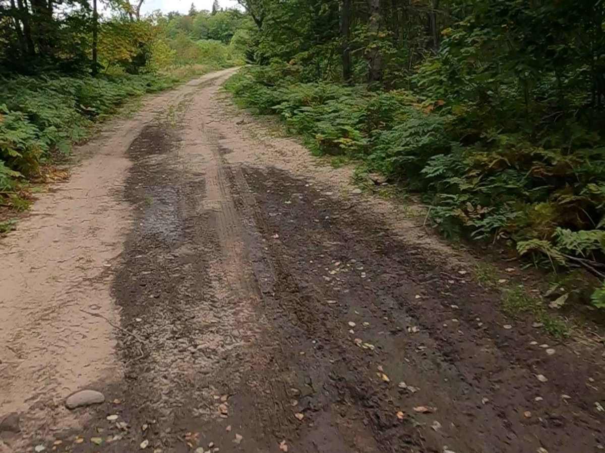 De Mull Creek Trail photo 4