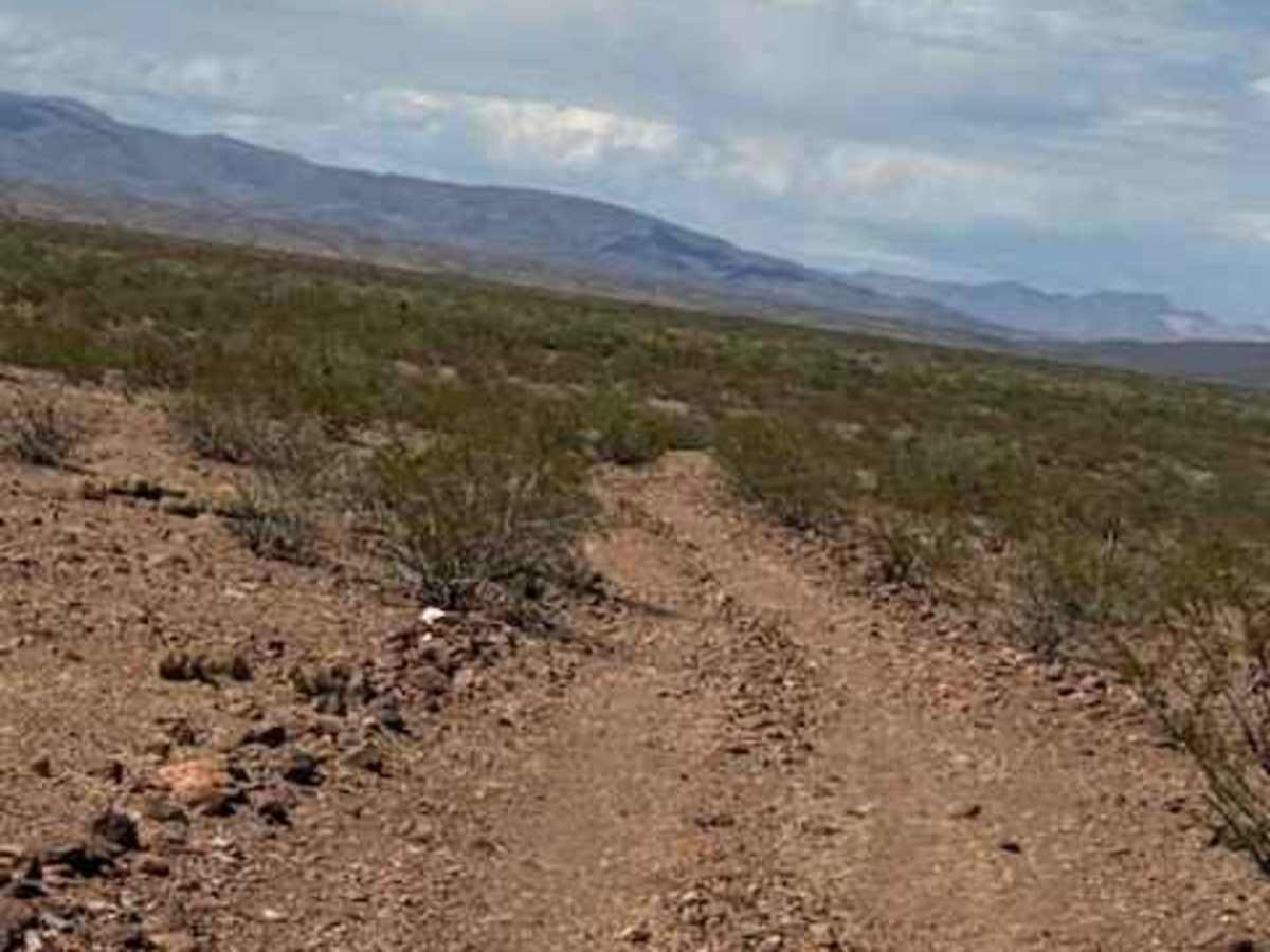 BLM PE1126 photo 6
