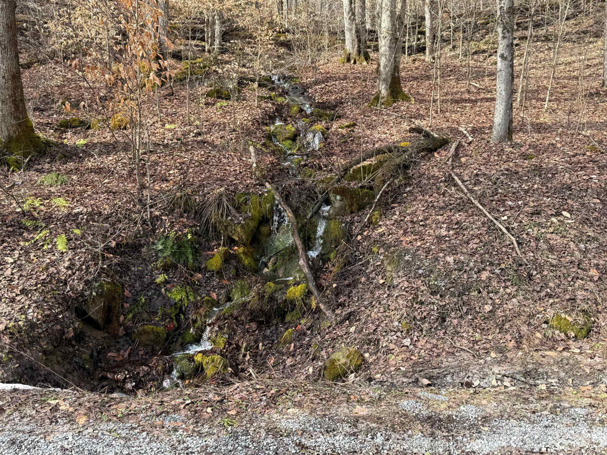 FS 128 trail photo