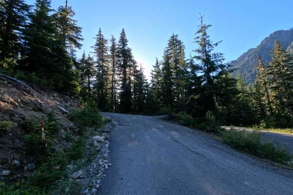 Stave Creek - FS 4613