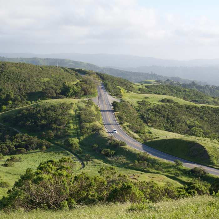 Near Bay Area Ridge Trail: Windy Hill Open Space Preserve