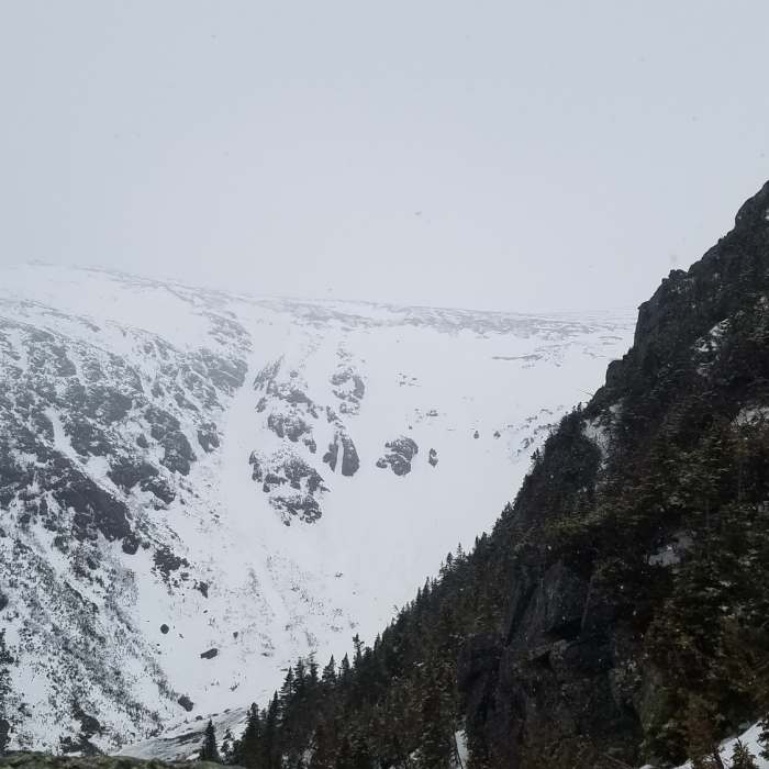 Near Lion's Head Trail