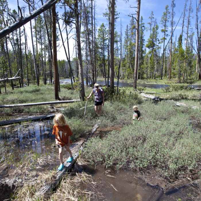 Near Yellow Belly Lake