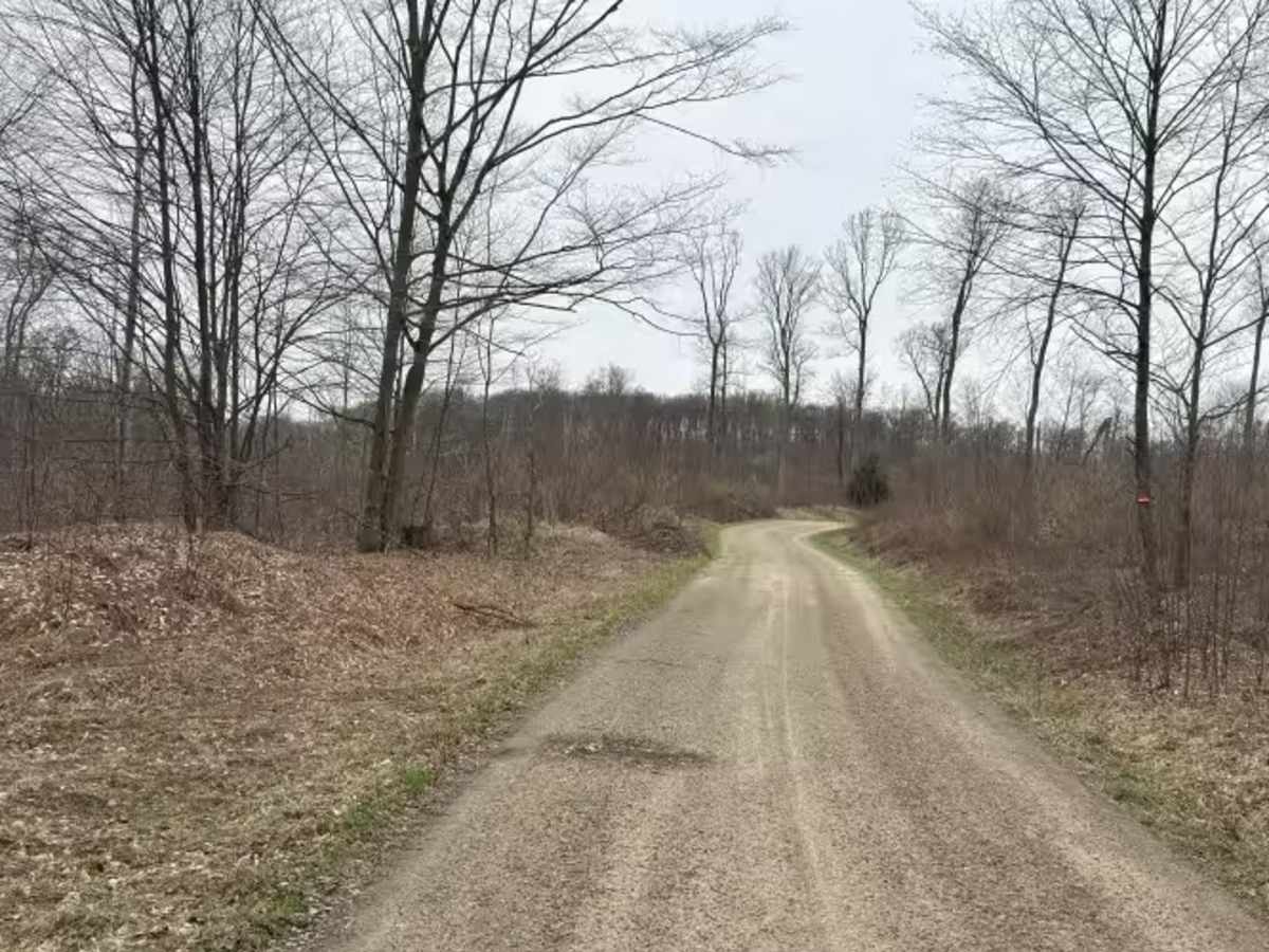 Briggs Run - FS 177 photo 2