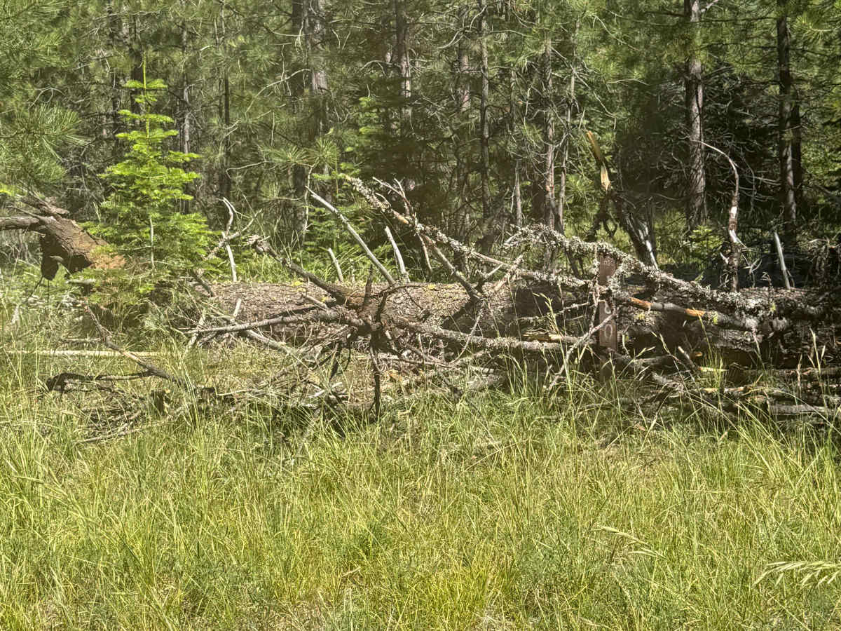 Bluegrass Butte - FS 1030-180 photo 5
