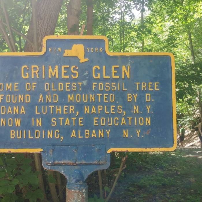 Near Grimes Glen Park Near Grimes Glen Park