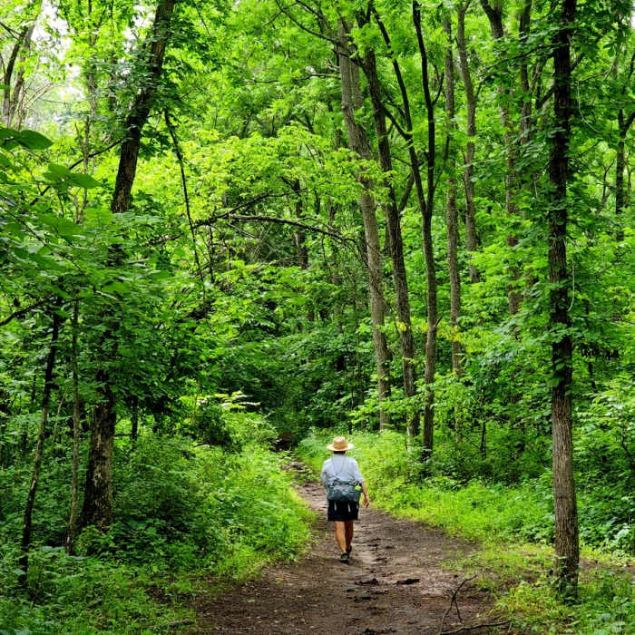On the Walnut Trail. Near Walnut Trail