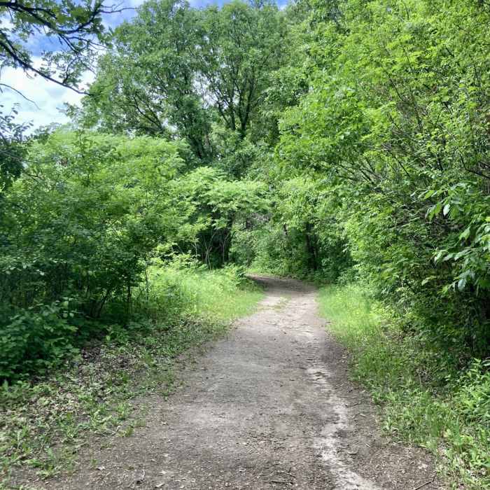 Near Sumac and Meadowlark Loop Near Sumac and Meadowlark Loop