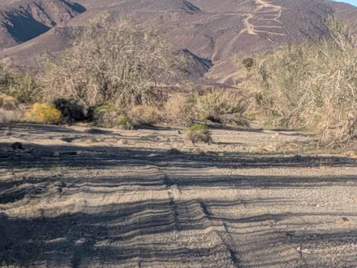 BLM 751 photo 4