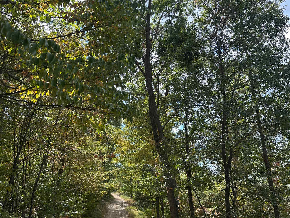 Raccoon Ridge  photo 5