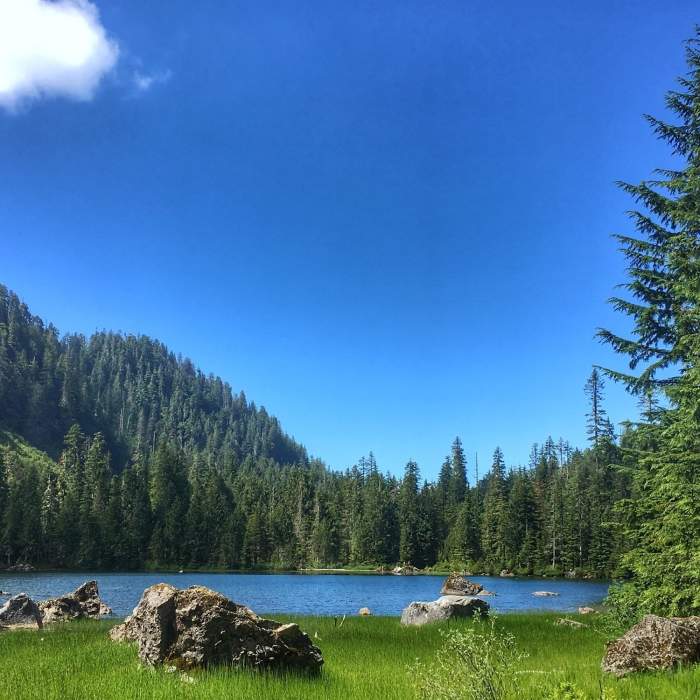 Near Heather Lake Trail