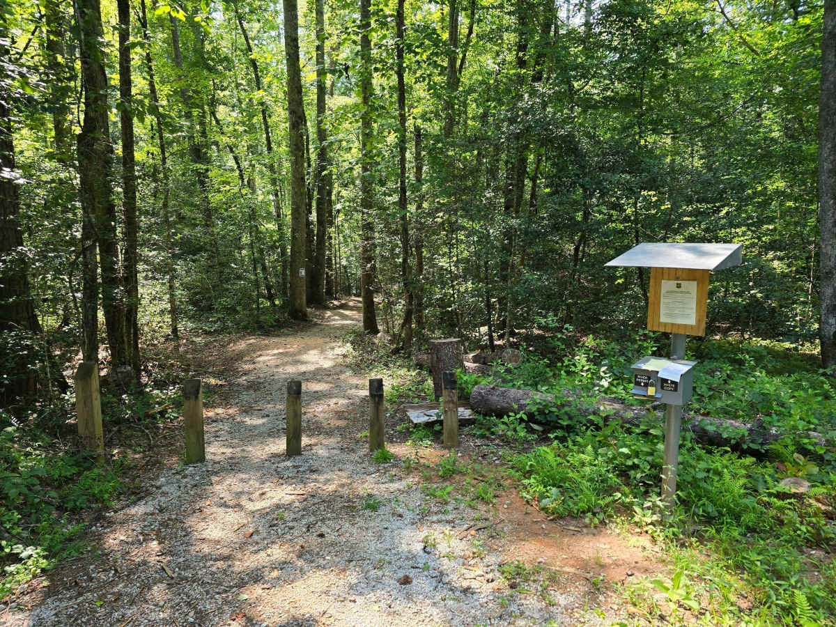 Sandy Ford - FS 721A photo 6