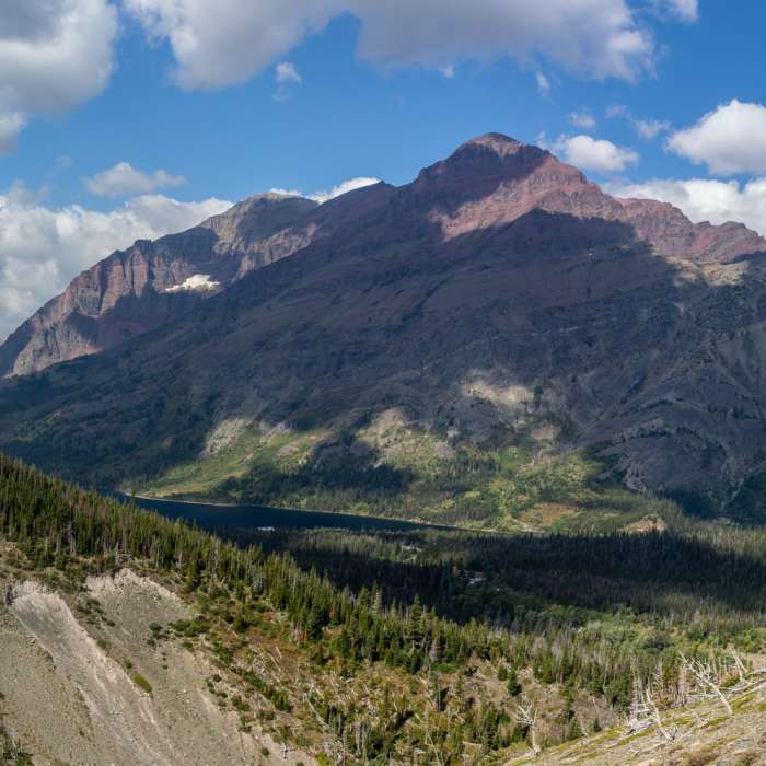 Near Scenic Point Out and Back