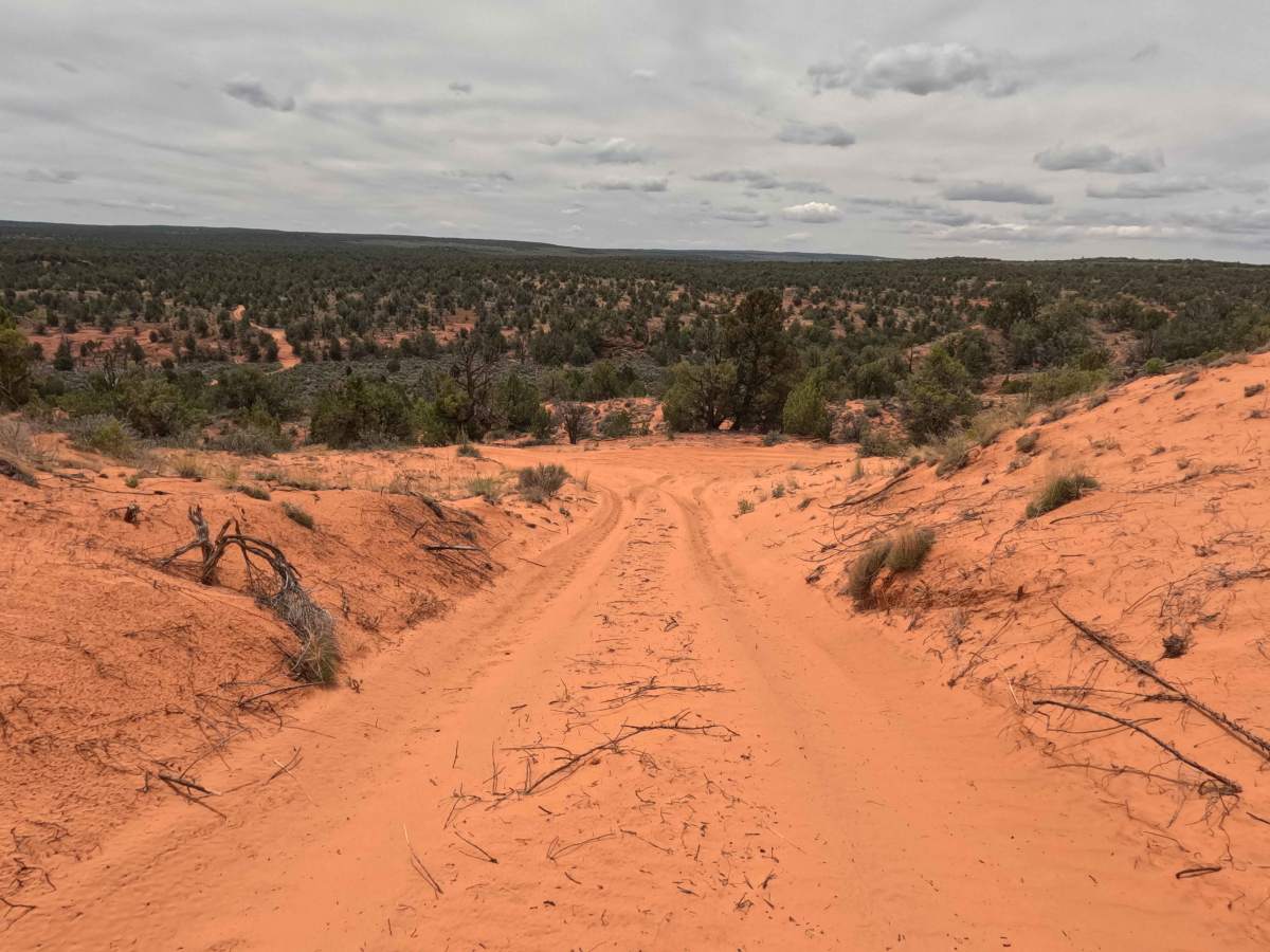 BLM 61H photo 3