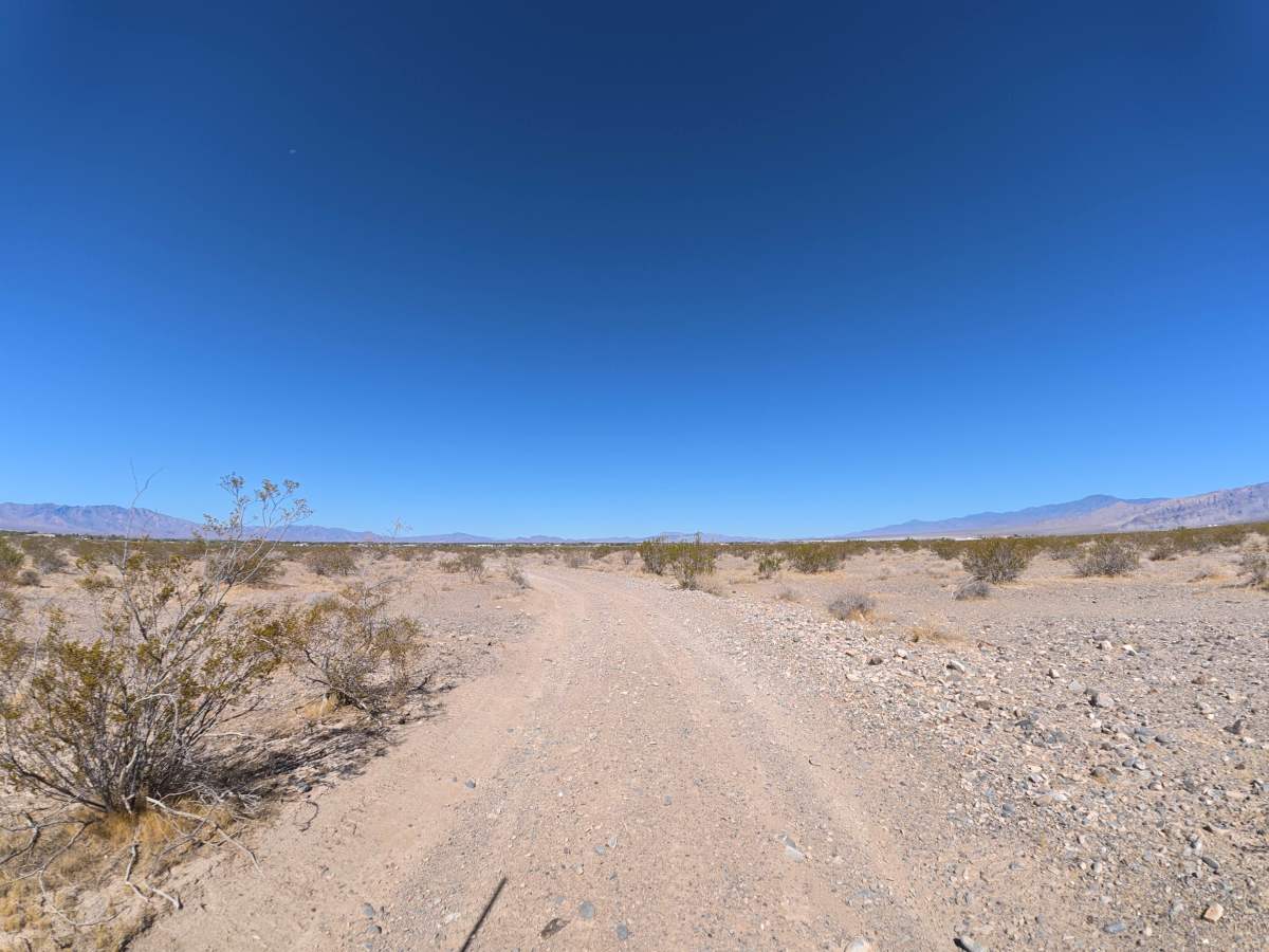 Indian West photo 5