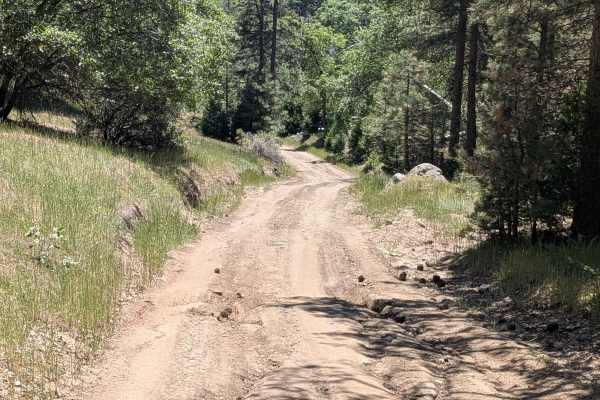 Davis Loop - FS 26S13/26S30