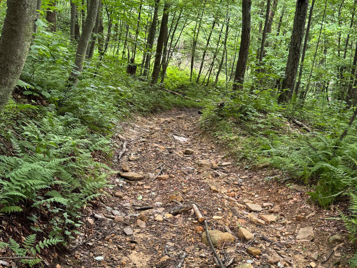Trail 32 photo 6