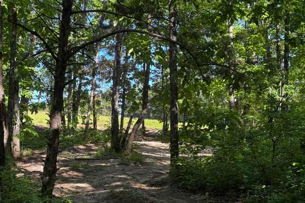 Bounty Hole Trail