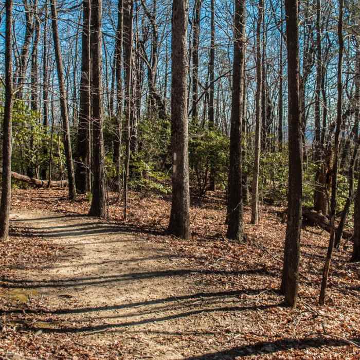 Near Upper Whitewater Falls Hike