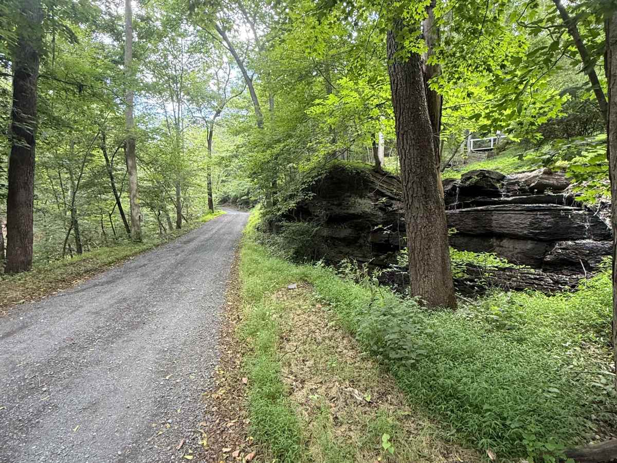 Smithtown Road trail photo