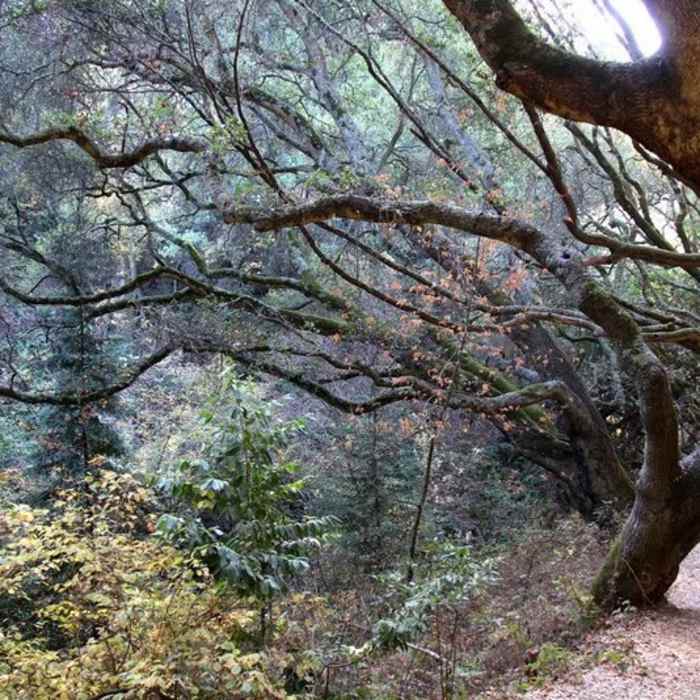 Near Quarry Trail