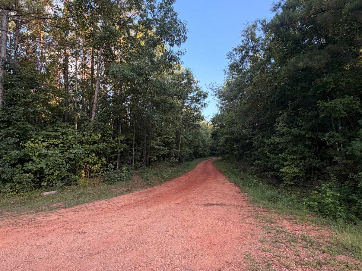 Turkey Trail trail photo