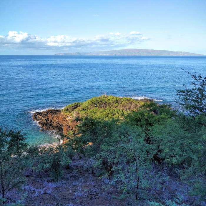 Near Pu'u Ola'i / Red Hill