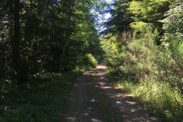 Route 5506 - Siuslaw Natl Forest