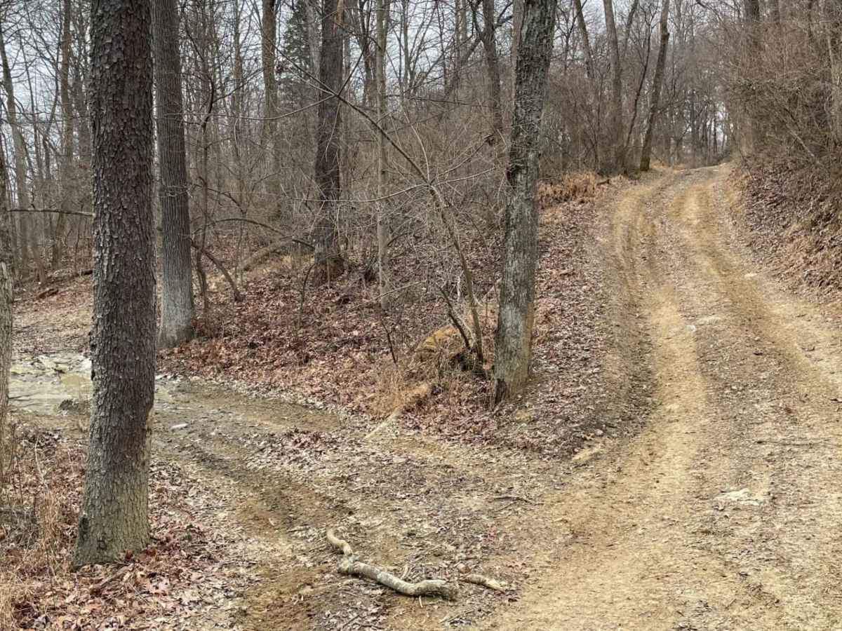 Redbird Trail 5x photo 2